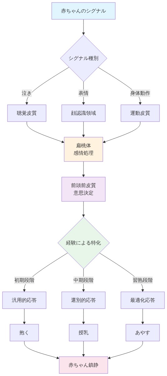 赤ちゃんのシグナル（泣き、表情、身体動作）が父親の脳で処理される過程を示すフロー図。各シグナルは聴覚皮質、顔認識領域、運動皮質で初期処理され、扁桃体で感情処理、前頭前皮質で意思決定される。経験による特化により、初期段階の汎用的応答から中期段階の選別的応答、習熟段階の最適化応答へと進行し、最終的に抱く、授乳、あやすなどの応答行動を通じて赤ちゃんが鎮静される。