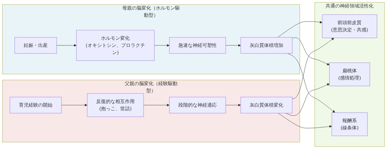 母親と父親の脳変化メカニズムを比較する図。左側は母親の脳変化を示し、妊娠・出産からホルモン変化（オキシトシン、プロラクチン）を経て急速な神経可塑性と灰白質体積増加に至る。右側は父親の脳変化を示し、育児経験の開始から反復的な相互作用を経て段階的な神経適応と灰白質体積変化に至る。異なるメカニズムにもかかわらず、両者は最終的に共通の神経領域（前頭前皮質、扁桃体、報酬系）の活性化に収束することを示している。
