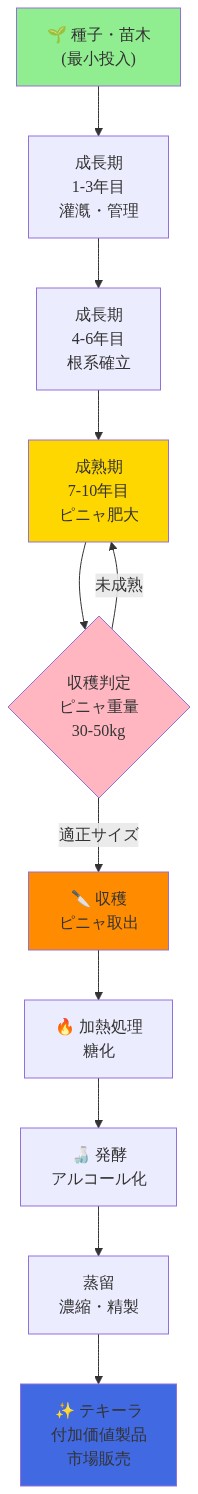 アガベの7～10年の成長サイクルを時系列で表示した図。種子・苗木からの最小限の投入で始まり、1～3年目の初期成長期、4～6年目の根系確立期を経て、7～10年目の成熟期に到達。ピニャ（球茎）が30～50kgに肥大した時点で収穫判定を行い、適正サイズであれば収穫。その後、加熱処理による糖化、発酵によるアルコール化、蒸留による濃縮・精製を経て、最終的にテキーラという付加価値製品として市場販売されるまでの経済的価値創造フローを示しています。