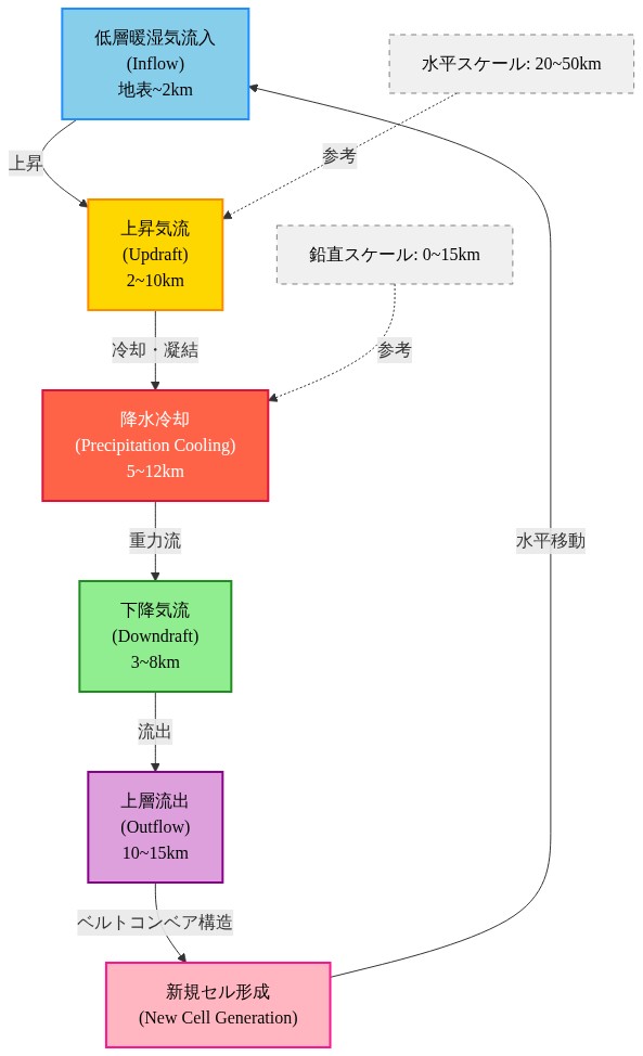 線状降水帯の形成メカニズムを示す断面図。低層の暖湿気流入が地表から2km高度で上昇気流となり、2～10km高度で上昇。5～12km高度で降水冷却が発生し、3～8km高度で下降気流が形成される。10～15km高度で上層流出が生じ、ベルトコンベア構造を通じて新規セル形成へと循環する。水平スケール20～50km、鉛直スケール0～15kmを示す。