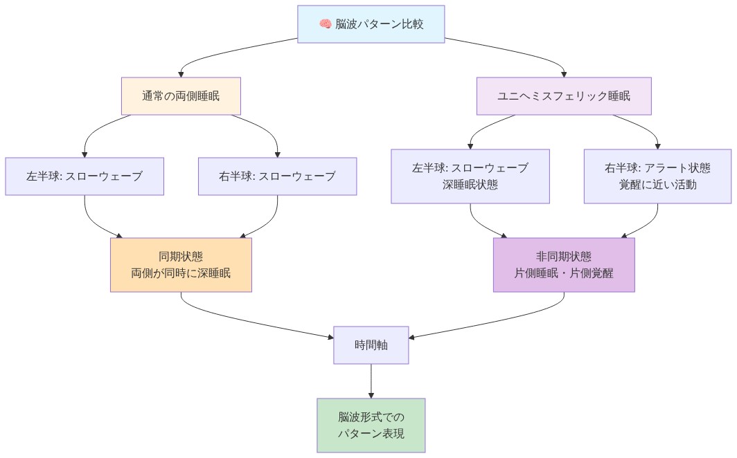 脳波パターンの比較図。上部に比較対象として通常の両側睡眠とユニヘミスフェリック睡眠を示す。通常睡眠では左右両半球がスローウェーブで同期した状態を表示。ユニヘミスフェリック睡眠では左半球がスローウェーブの深睡眠状態、右半球がアラート状態の覚醒に近い活動を示す。両者の脳波パターンの違いを時間軸に沿って並べて表現。