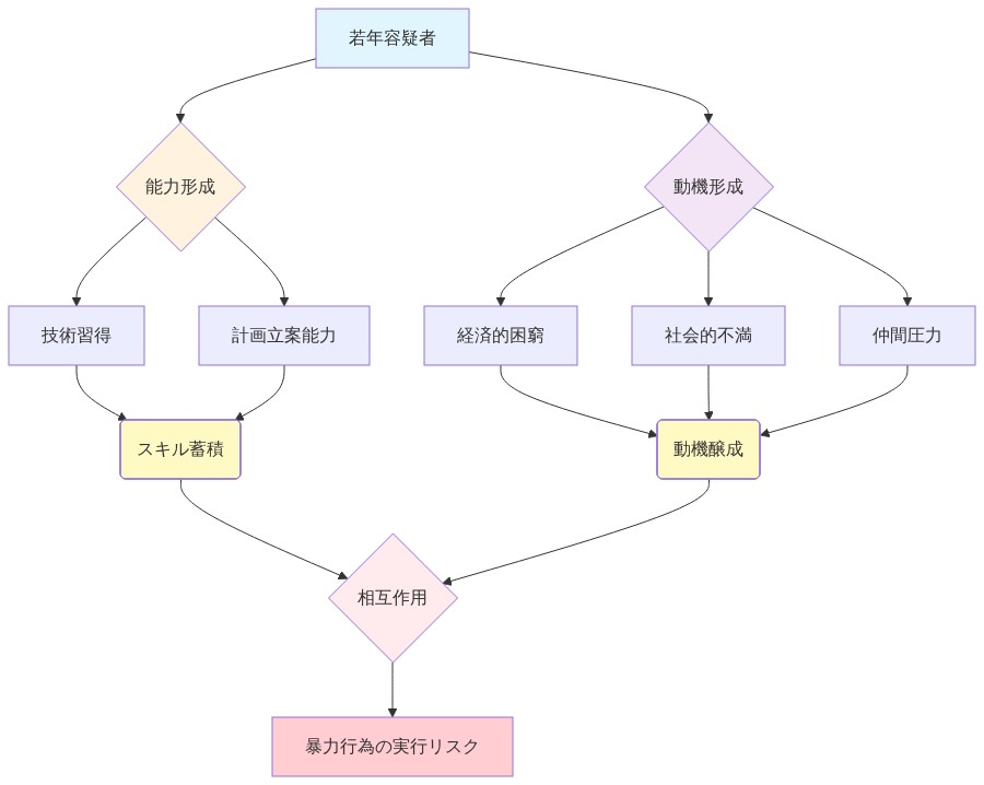 若年容疑者を中心に、能力形成（技術習得と計画立案能力）と動機形成（経済的困窮、社会的不満、仲間圧力）の2つの経路が示されており、それぞれがスキル蓄積と動機醸成に集約され、最終的に相互作用を通じて暴力行為の実行リスクへと至るプロセスを表現した図。